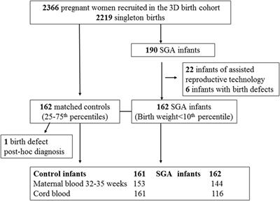 Maternal Circulating Placental Growth Factor and Neonatal Metabolic Health Biomarkers in Small for Gestational Age Infants